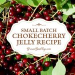 This small batch of chokecherry jelly only requires one pound of foraged chokecherries. It is a perfect balance of tart and sweet resulting in a jelly that tastes delicious on homemade bread and pairs well with poultry dishes.