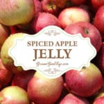 This spiced apple jelly recipe livens up the plain apple flavor with some traditional pairings including lemon juice, cinnamon, cloves, and allspice.